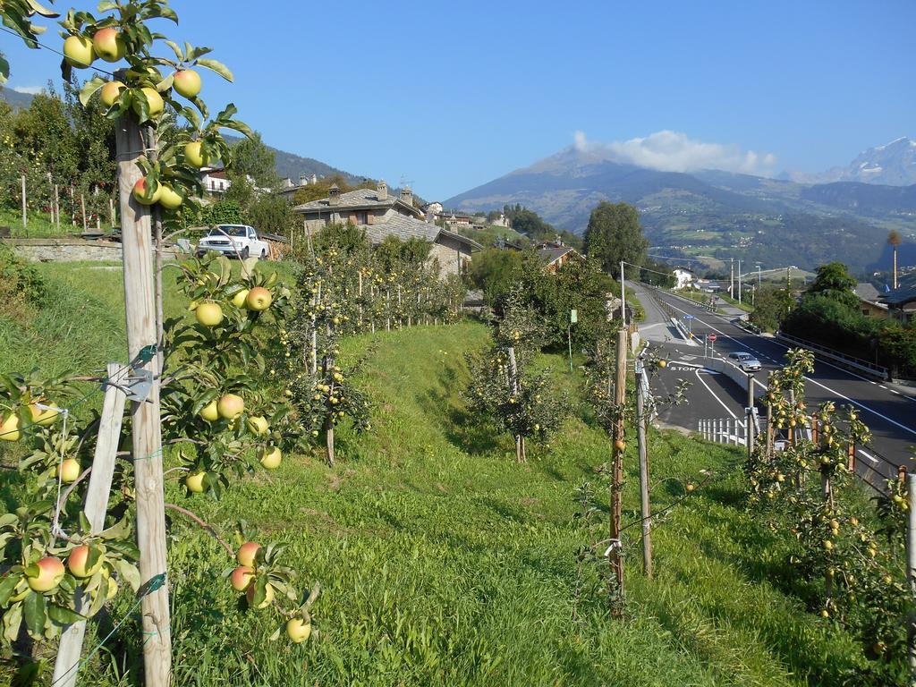 B&B Les Fleurs Gignod Exterior foto