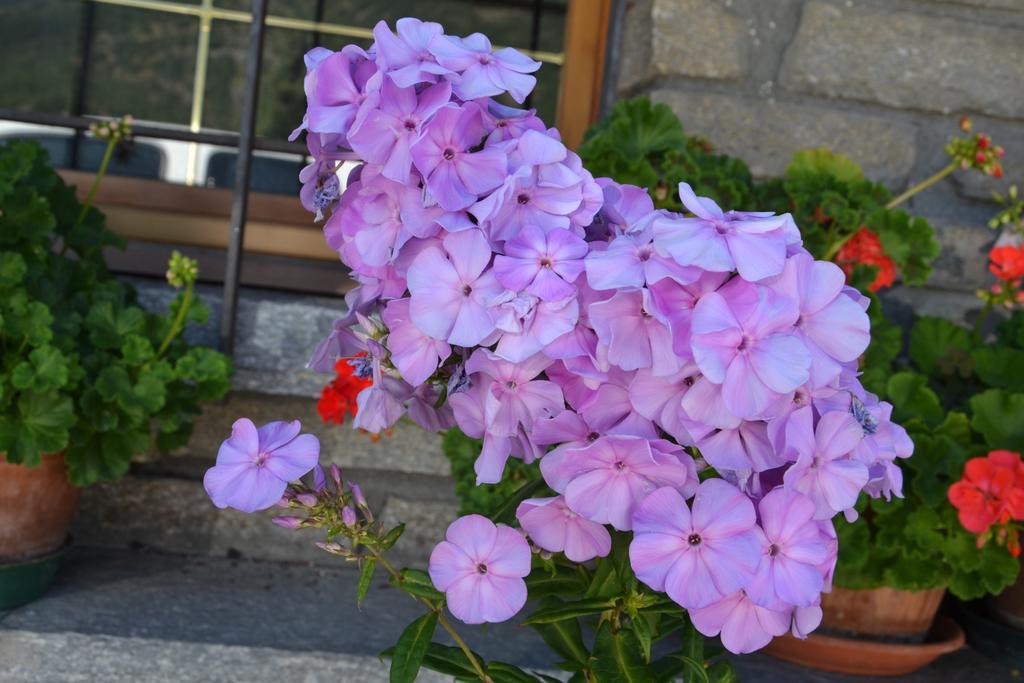 B&B Les Fleurs Gignod Exterior foto