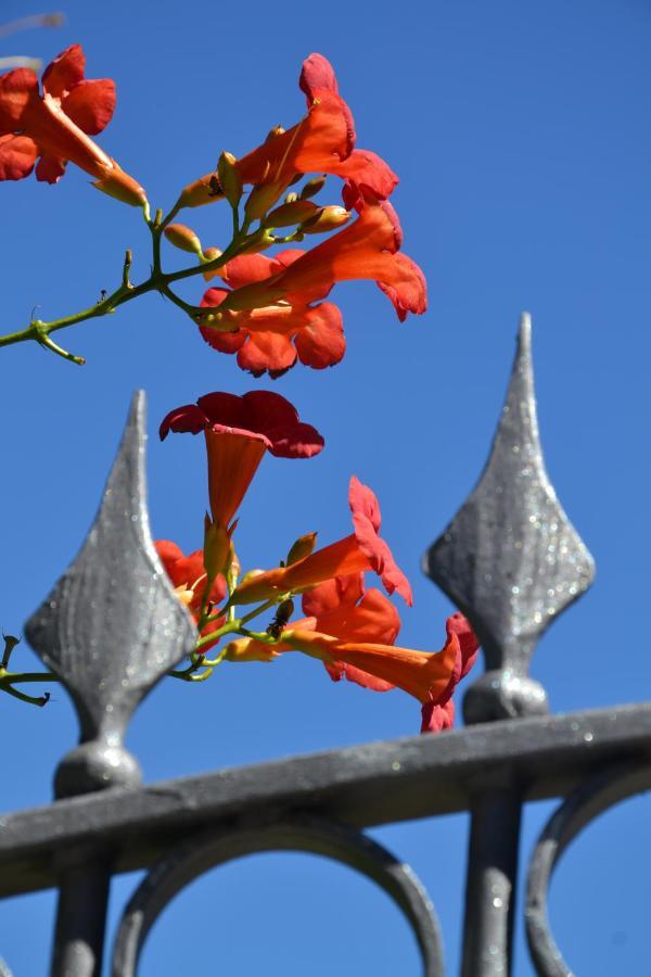 B&B Les Fleurs Gignod Quarto foto